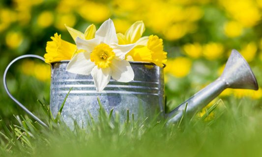 Ageing Well Ponteland Step into Spring event