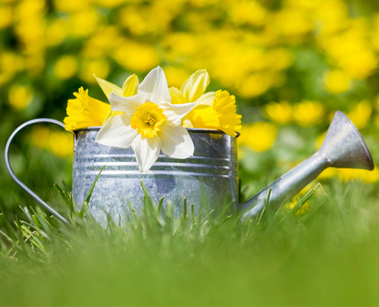 Spring event