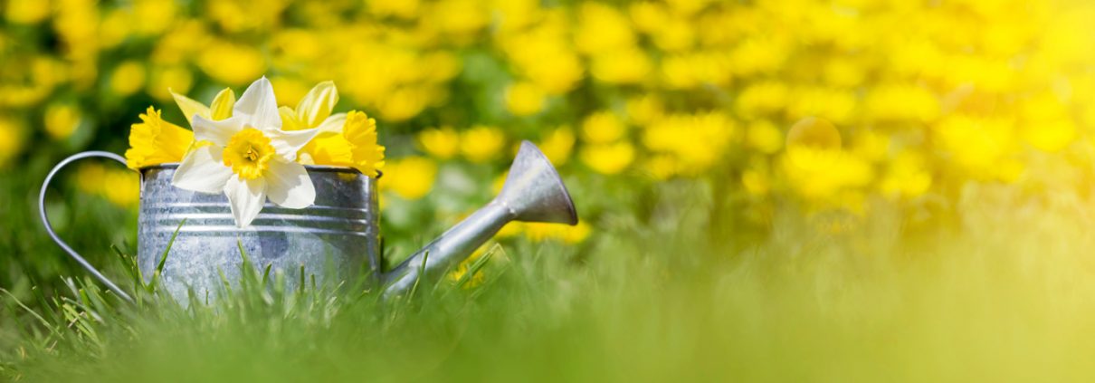Stepping into Spring Roadshow: Blyth