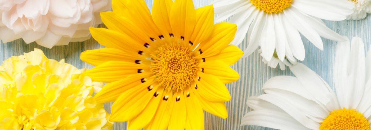 Ageing Well Summer Roadshow