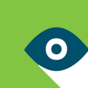 Sight loss services project