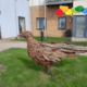 Drop-in session Alnwick