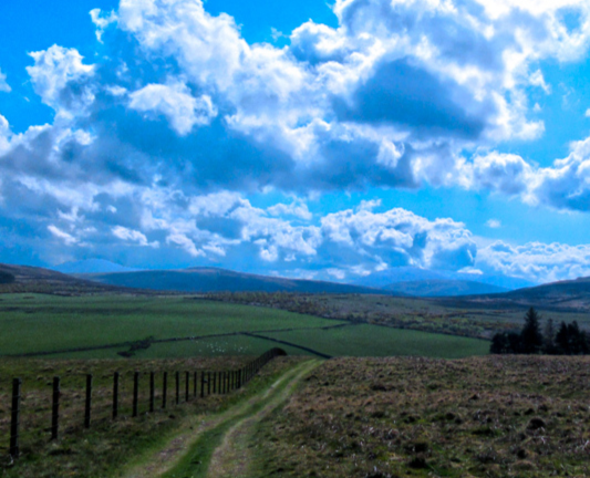 Rural health and wellbeing roadshow