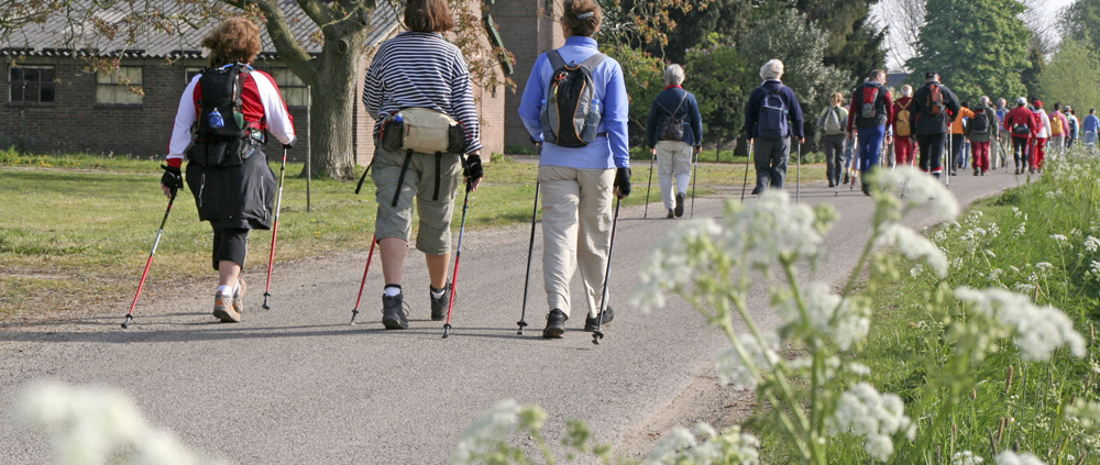 Online Event – Meet the Health Trainers