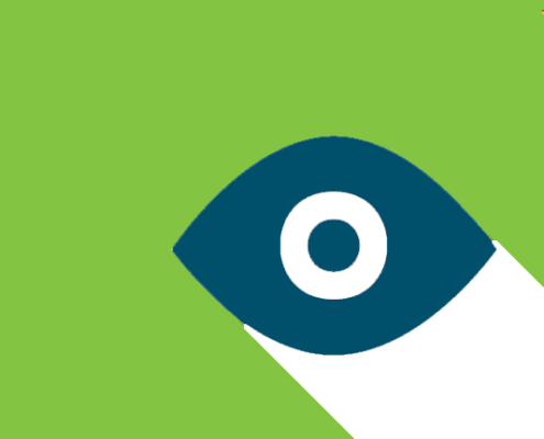Sight loss services project