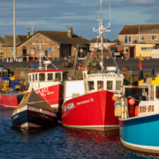 Drop-in for fishermen and families