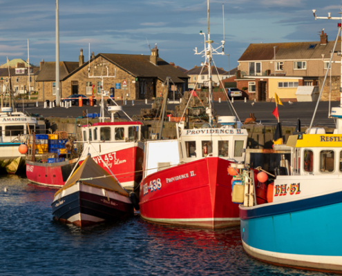 Drop-in for fishermen and families