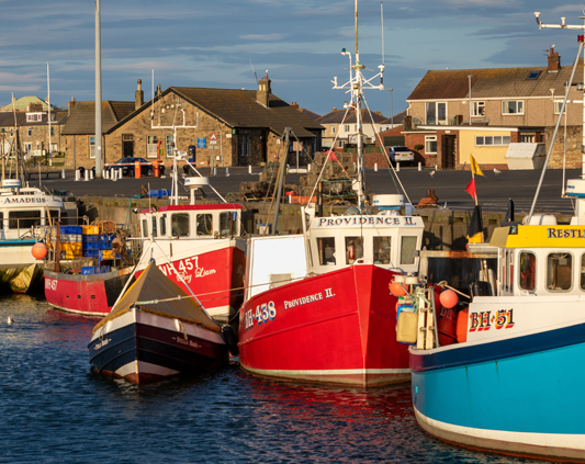 Drop-in for fishermen and families