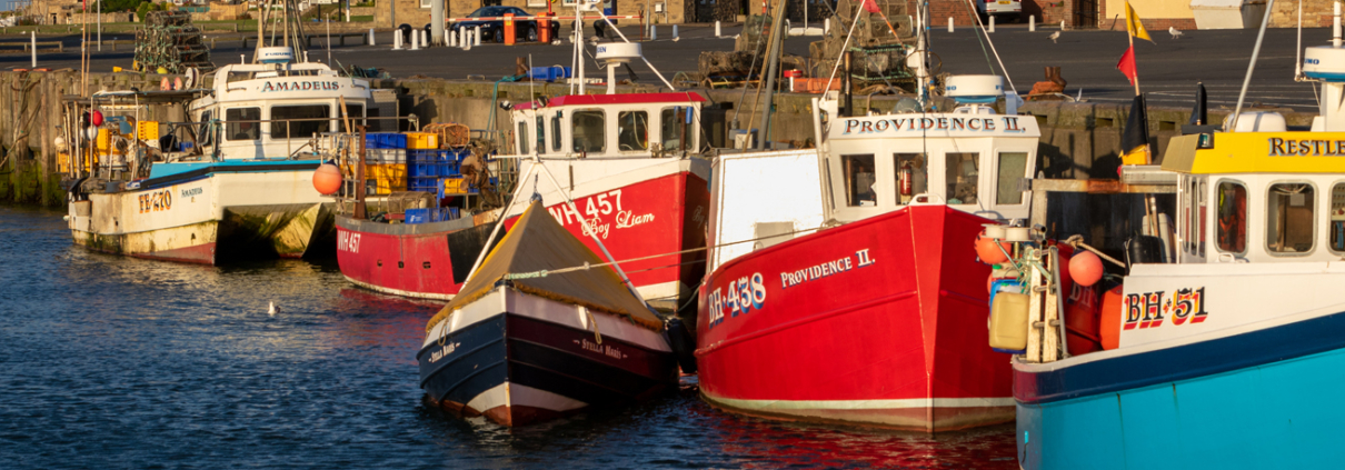 Drop-in for fishermen and families