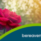 Bereavement support Northumberland