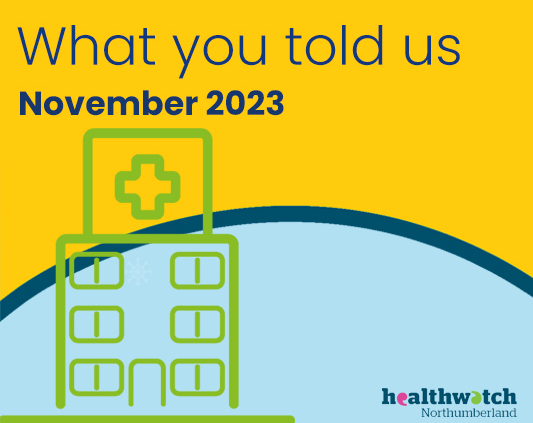 What you told us: November 2023
