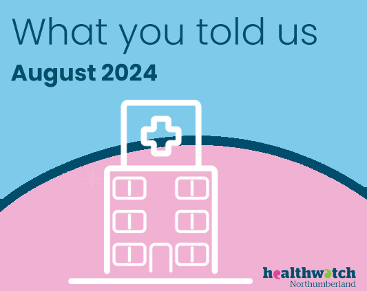 Feedback from August 2024