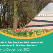 Trends in feedback July to December 2024