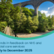 Trends in feedback July to December 2025